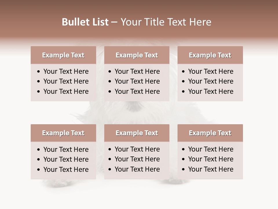 Studio Shot Dog Cross Breed PowerPoint Template