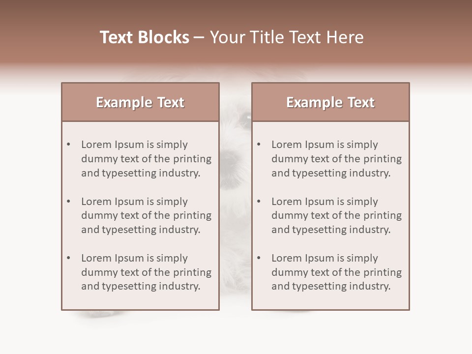 Studio Shot Dog Cross Breed PowerPoint Template
