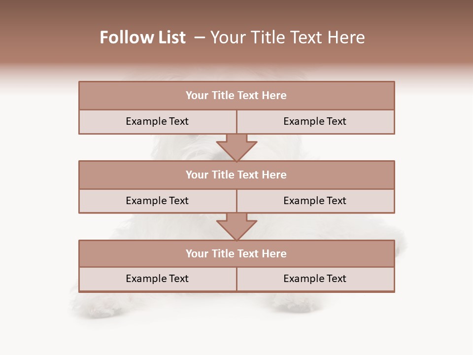 Studio Shot Dog Cross Breed PowerPoint Template