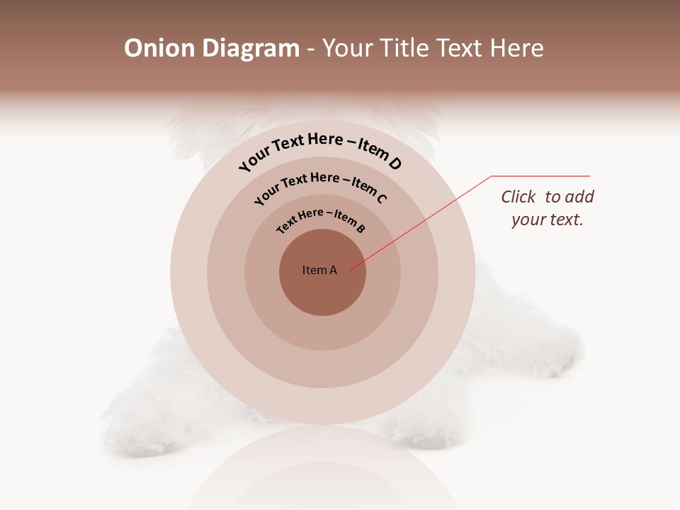 Studio Shot Dog Cross Breed PowerPoint Template