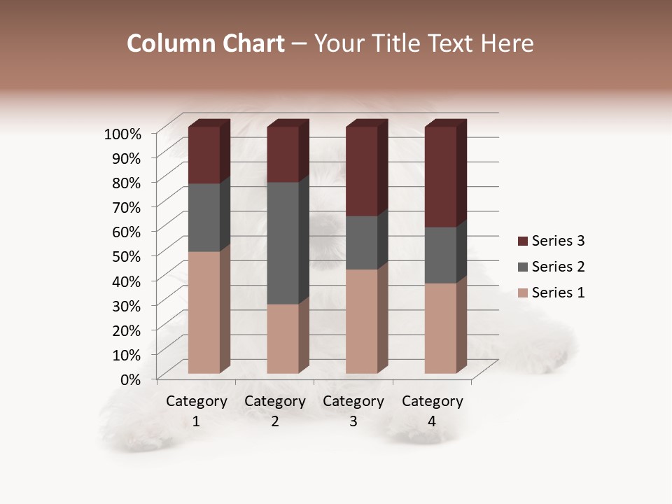 Studio Shot Dog Cross Breed PowerPoint Template