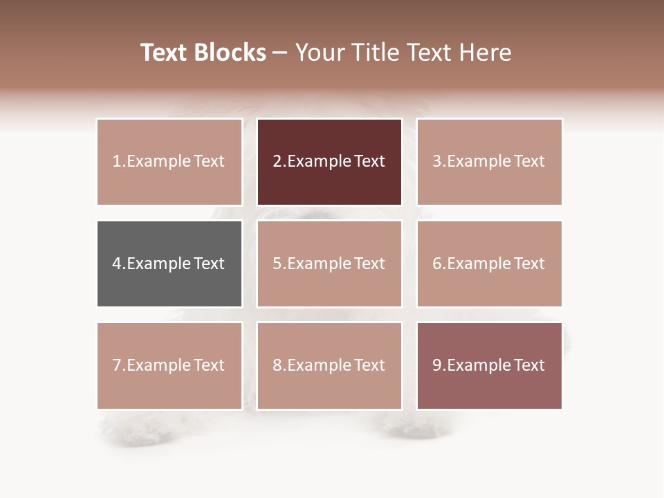 Studio Shot Dog Cross Breed PowerPoint Template