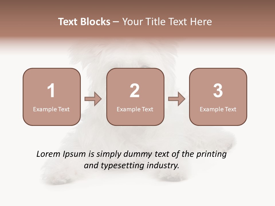 Studio Shot Dog Cross Breed PowerPoint Template
