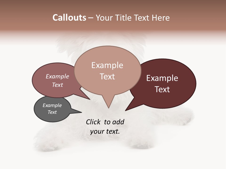 Studio Shot Dog Cross Breed PowerPoint Template