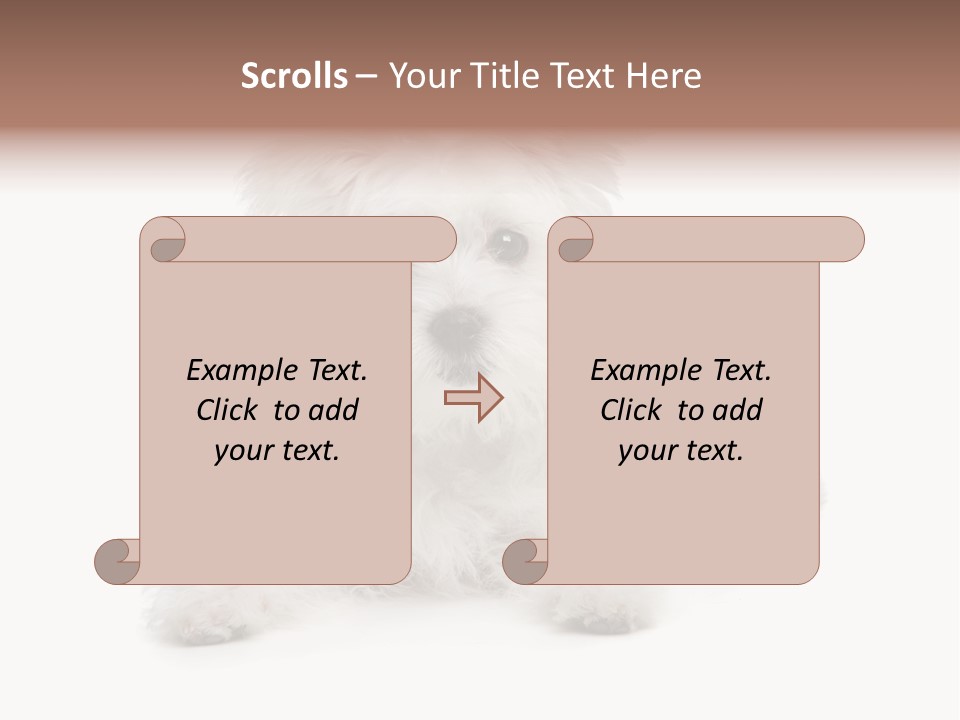 Studio Shot Dog Cross Breed PowerPoint Template