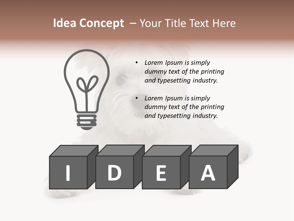 Studio Shot Dog Cross Breed PowerPoint Template