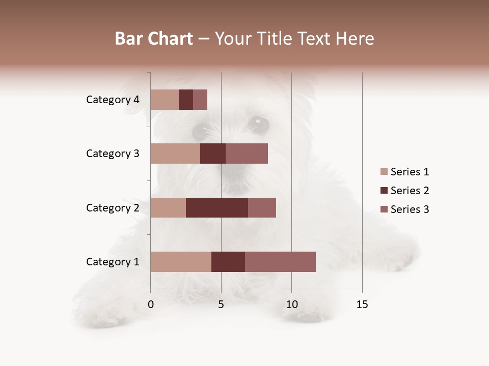 Studio Shot Dog Cross Breed PowerPoint Template
