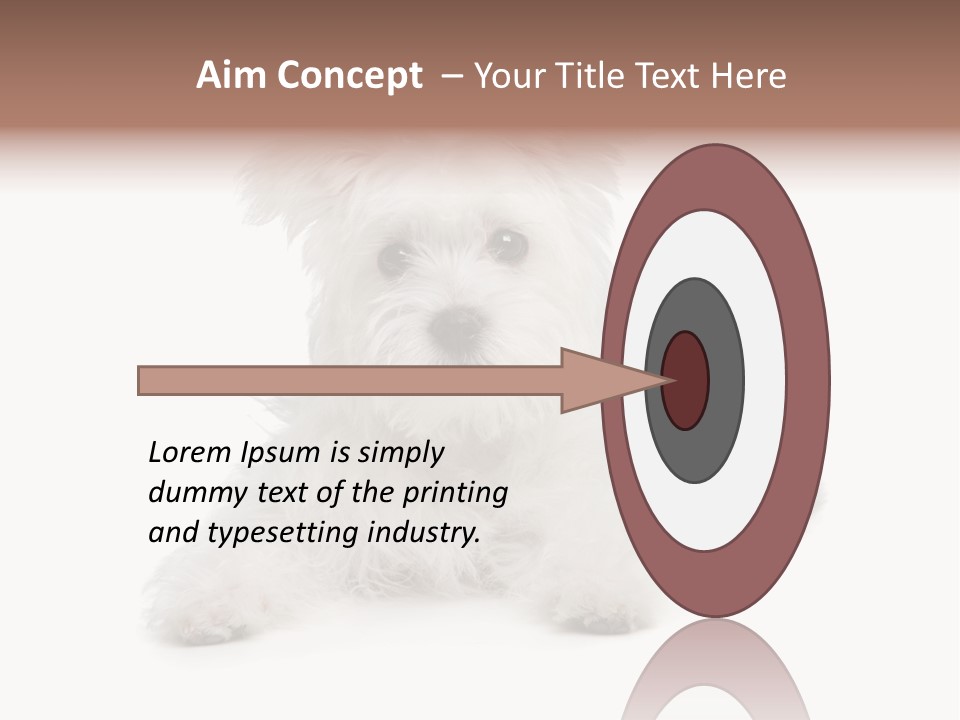Studio Shot Dog Cross Breed PowerPoint Template