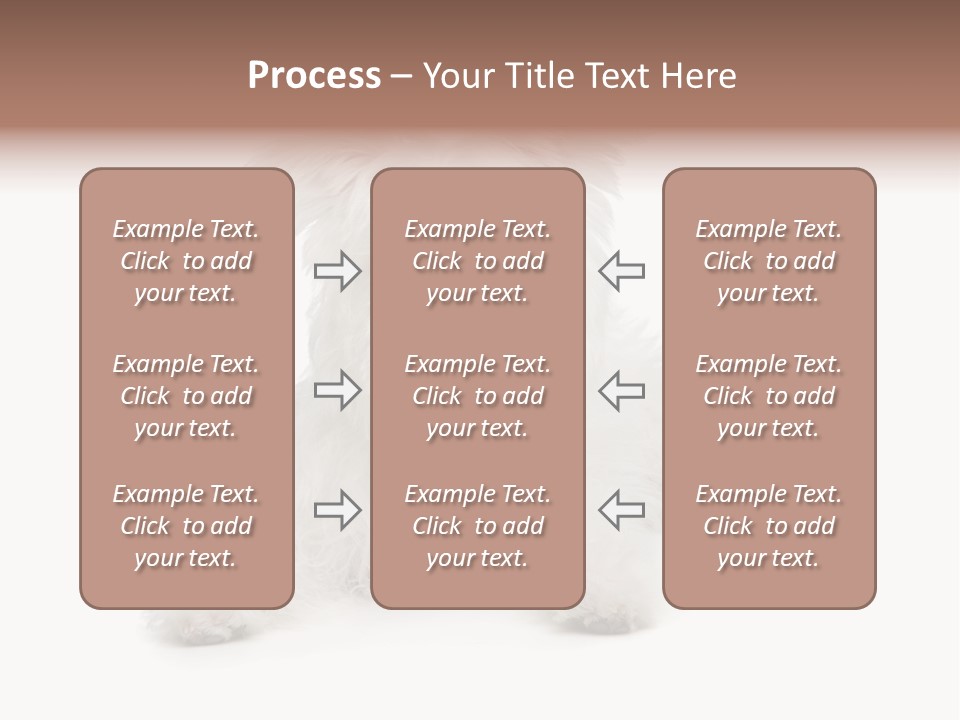 Studio Shot Dog Cross Breed PowerPoint Template