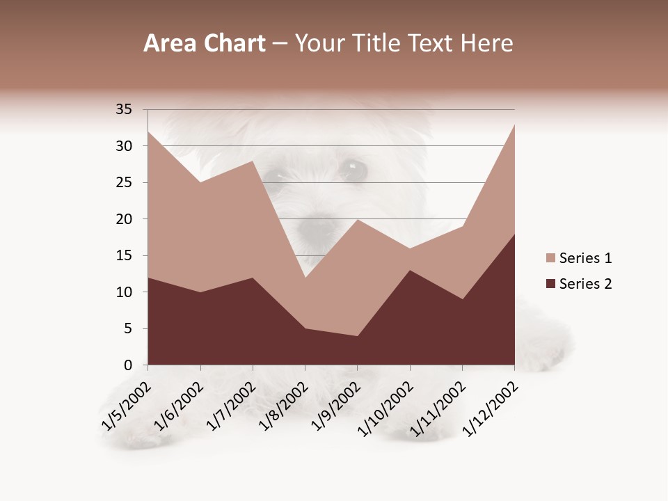 Studio Shot Dog Cross Breed PowerPoint Template