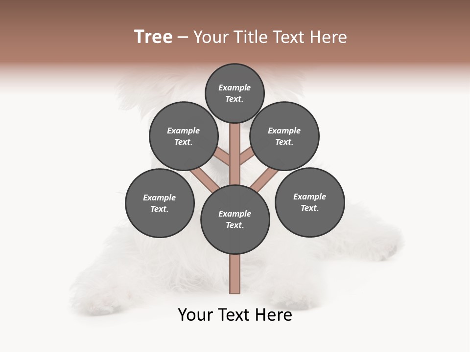 Studio Shot Dog Cross Breed PowerPoint Template