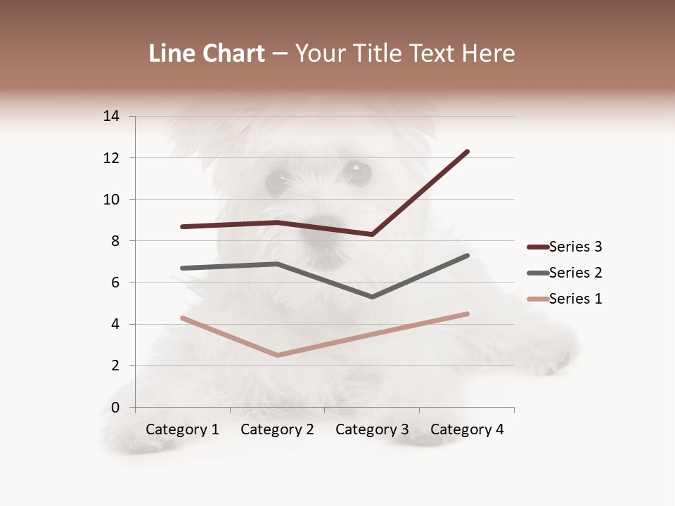 Studio Shot Dog Cross Breed PowerPoint Template