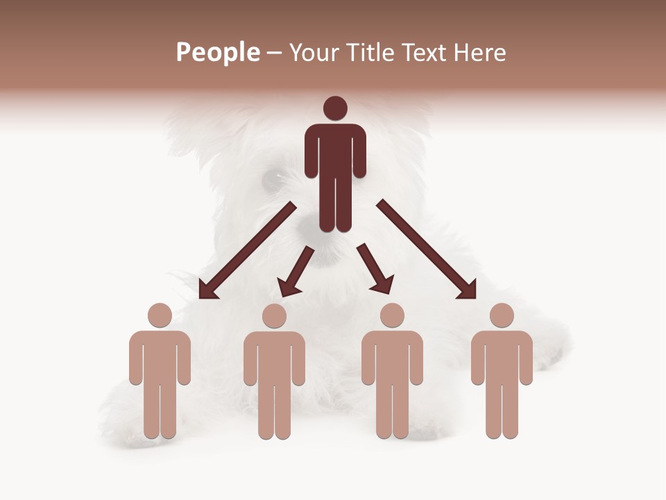 Studio Shot Dog Cross Breed PowerPoint Template