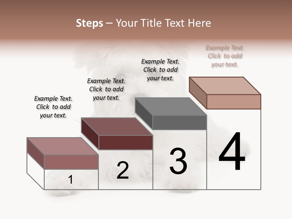 Studio Shot Dog Cross Breed PowerPoint Template