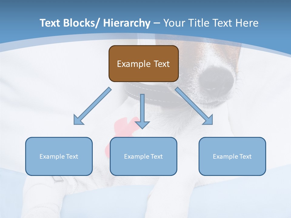 Sick Injured Recover PowerPoint Template