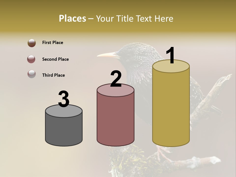 Ornithology Common Starling Cute PowerPoint Template