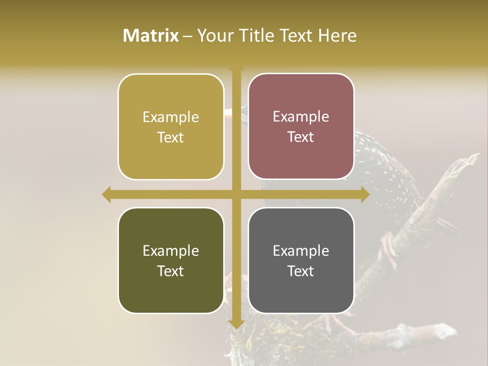 Ornithology Common Starling Cute PowerPoint Template