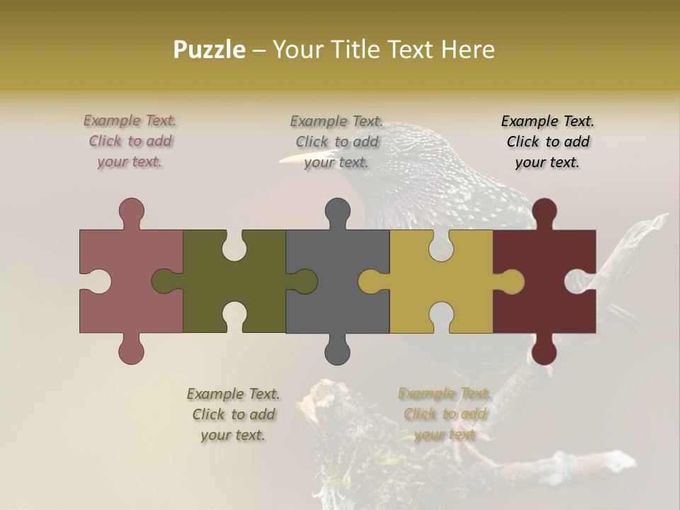 Ornithology Common Starling Cute PowerPoint Template