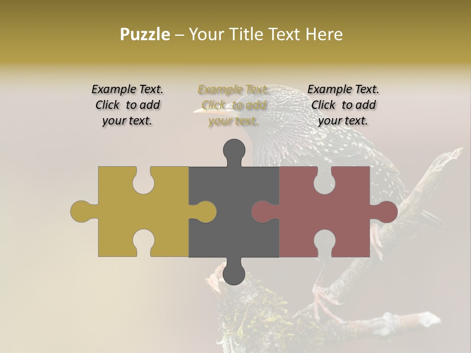 Ornithology Common Starling Cute PowerPoint Template