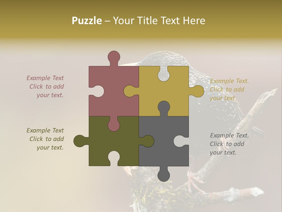 Ornithology Common Starling Cute PowerPoint Template