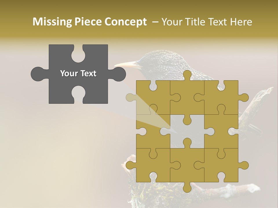 Ornithology Common Starling Cute PowerPoint Template