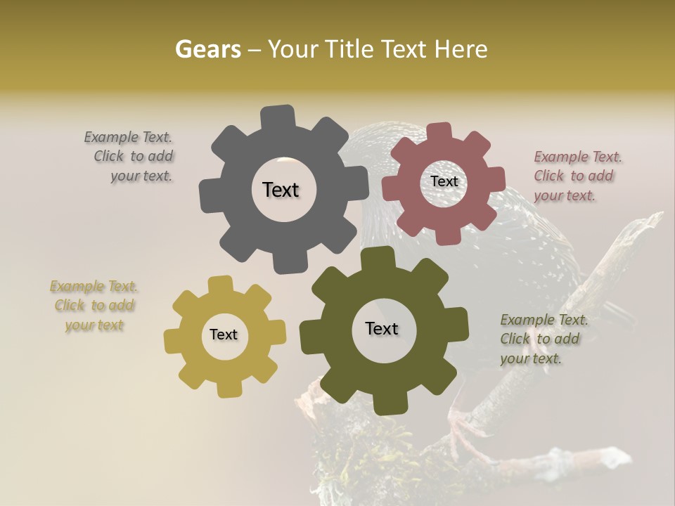 Ornithology Common Starling Cute PowerPoint Template