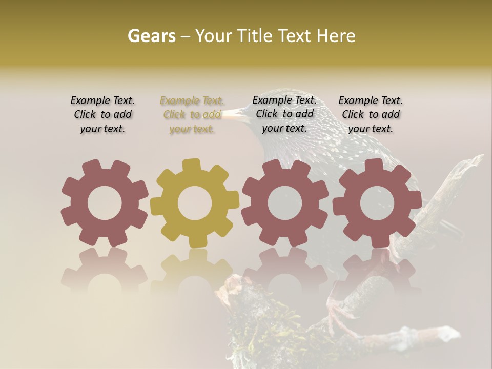 Ornithology Common Starling Cute PowerPoint Template