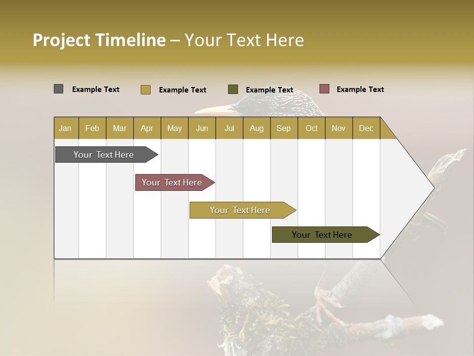 Ornithology Common Starling Cute PowerPoint Template