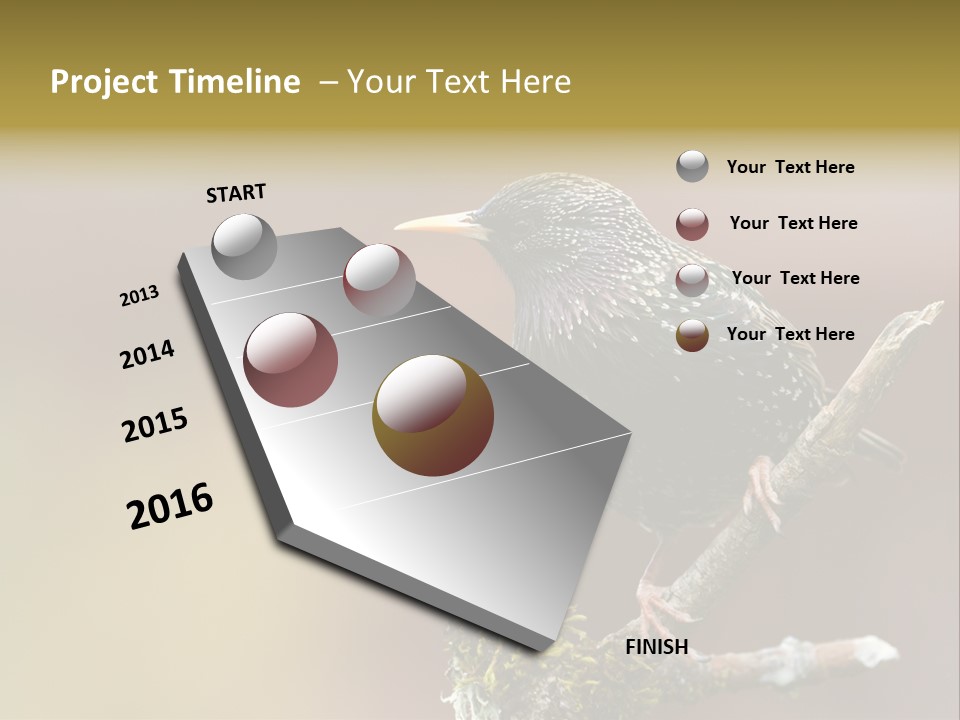 Ornithology Common Starling Cute PowerPoint Template