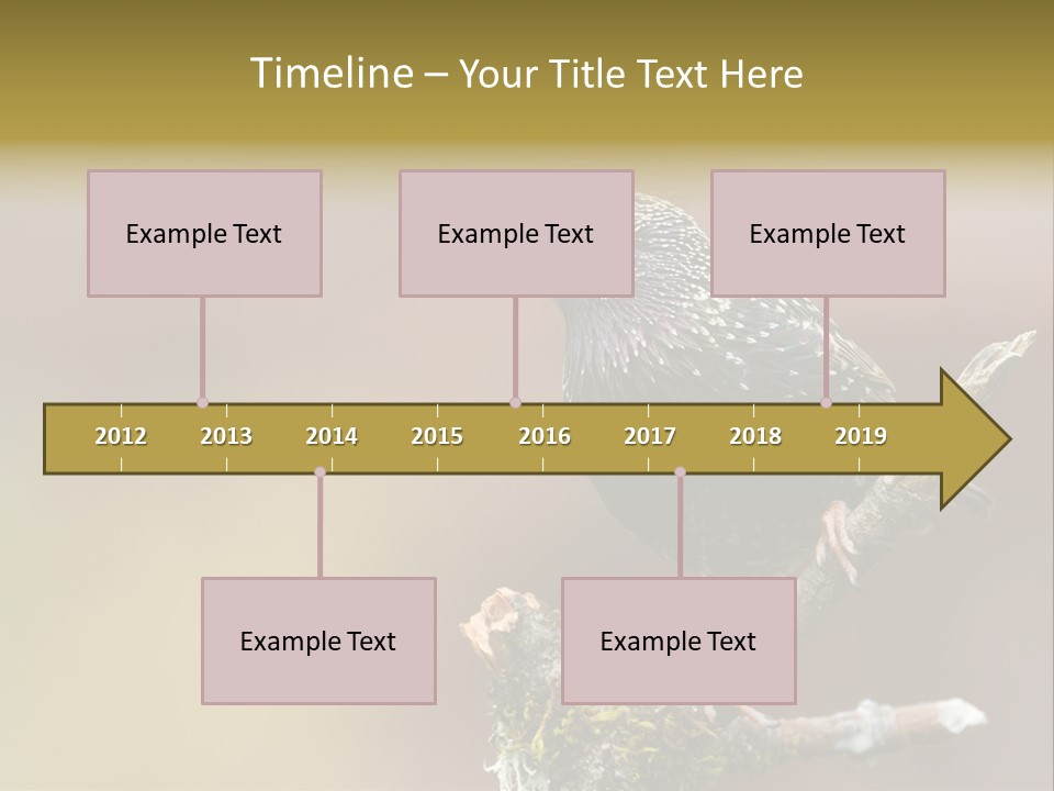 Ornithology Common Starling Cute PowerPoint Template
