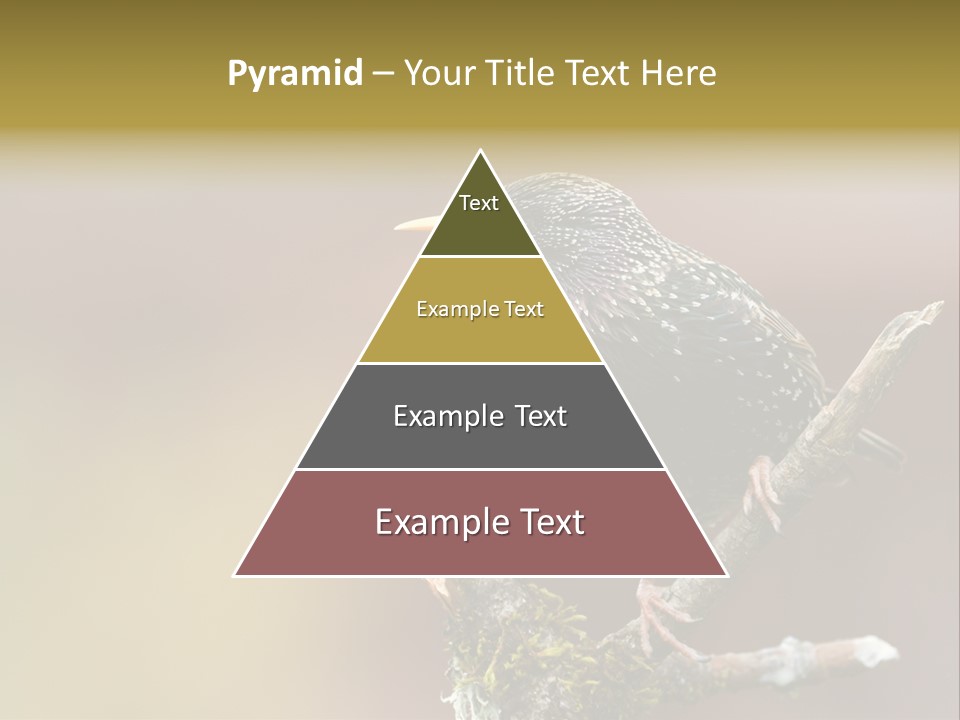Ornithology Common Starling Cute PowerPoint Template