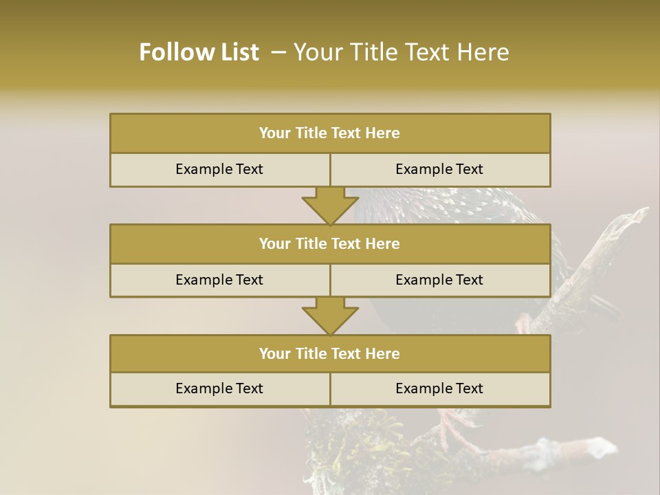 Ornithology Common Starling Cute PowerPoint Template