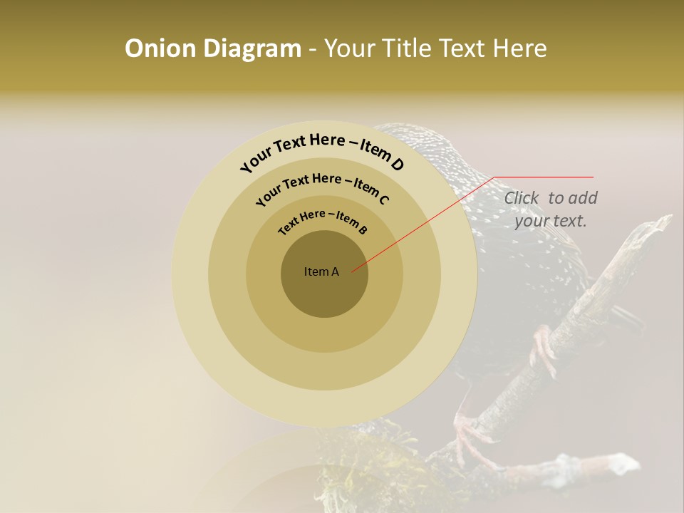 Ornithology Common Starling Cute PowerPoint Template