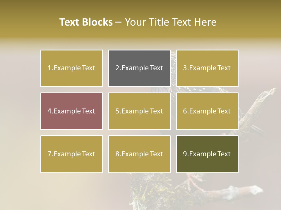 Ornithology Common Starling Cute PowerPoint Template