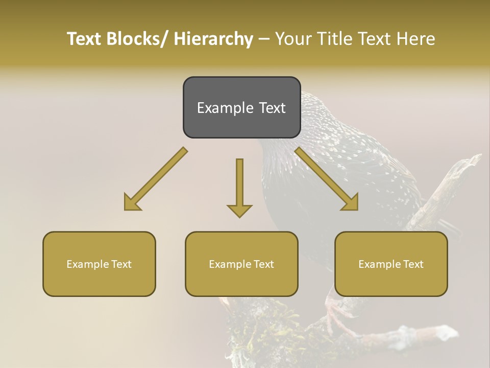 Ornithology Common Starling Cute PowerPoint Template