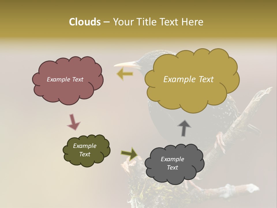 Ornithology Common Starling Cute PowerPoint Template