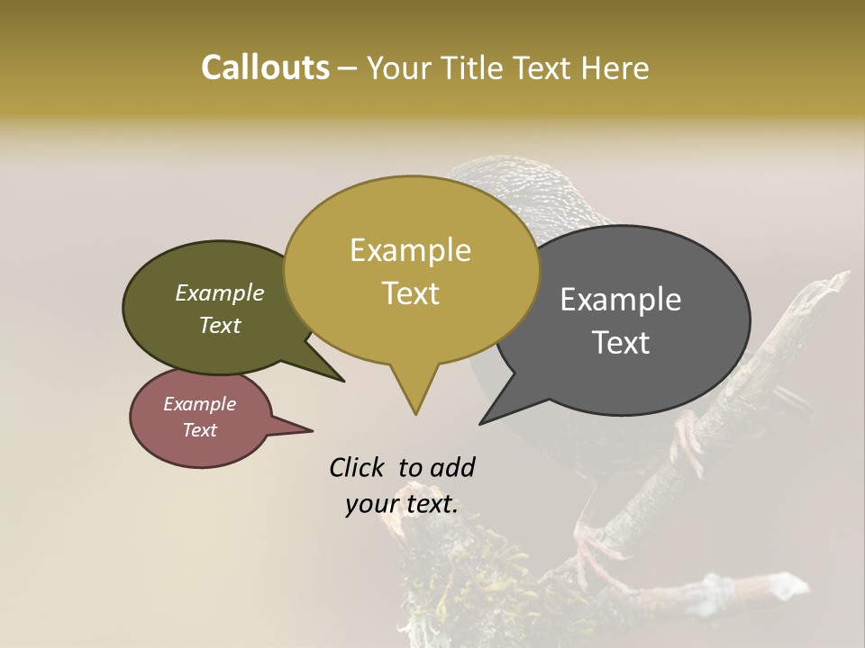 Ornithology Common Starling Cute PowerPoint Template