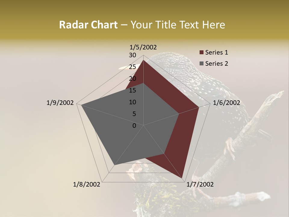 Ornithology Common Starling Cute PowerPoint Template