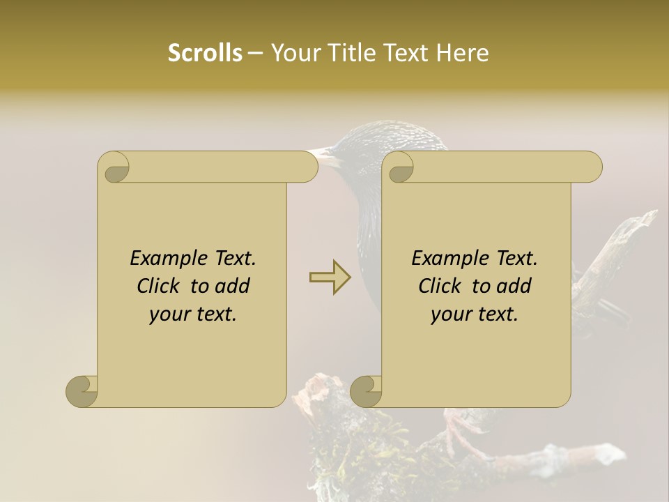 Ornithology Common Starling Cute PowerPoint Template
