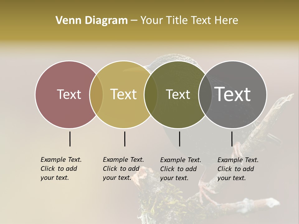 Ornithology Common Starling Cute PowerPoint Template