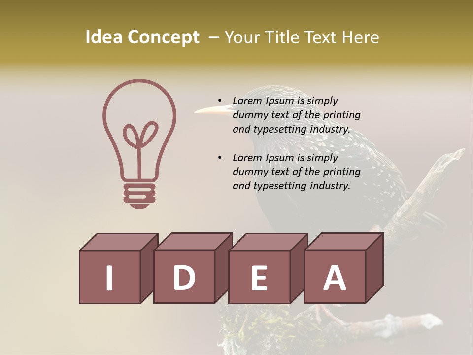 Ornithology Common Starling Cute PowerPoint Template