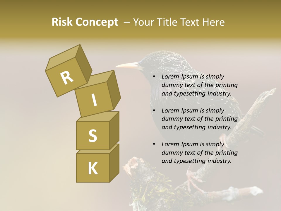 Ornithology Common Starling Cute PowerPoint Template