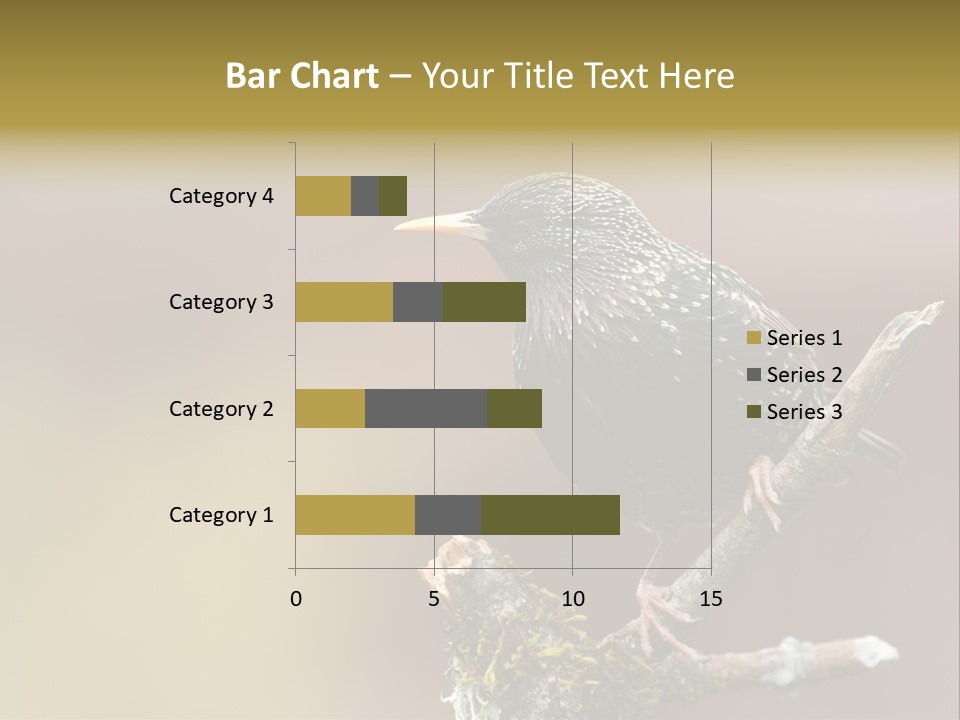 Ornithology Common Starling Cute PowerPoint Template