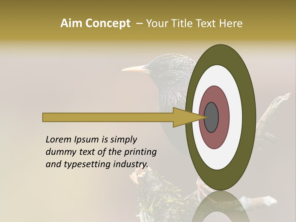 Ornithology Common Starling Cute PowerPoint Template