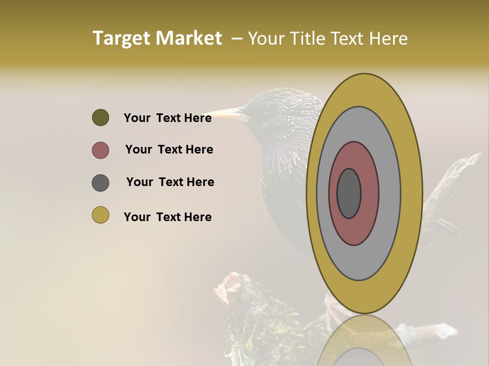 Ornithology Common Starling Cute PowerPoint Template