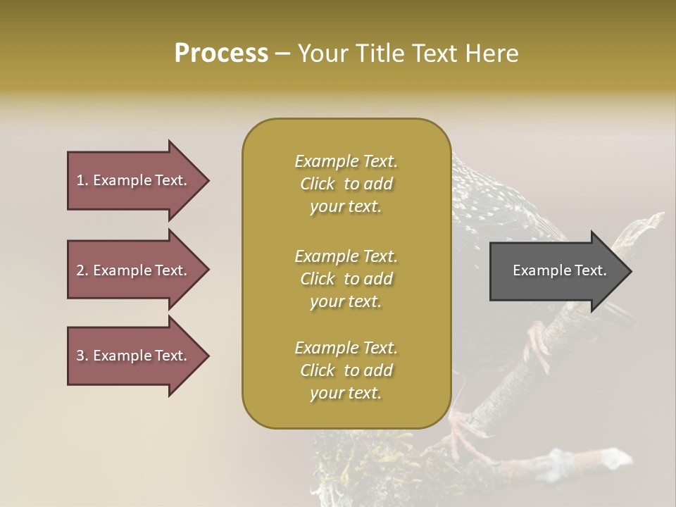 Ornithology Common Starling Cute PowerPoint Template