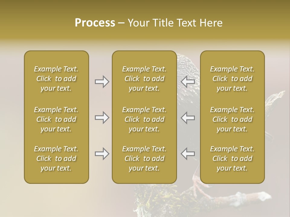 Ornithology Common Starling Cute PowerPoint Template
