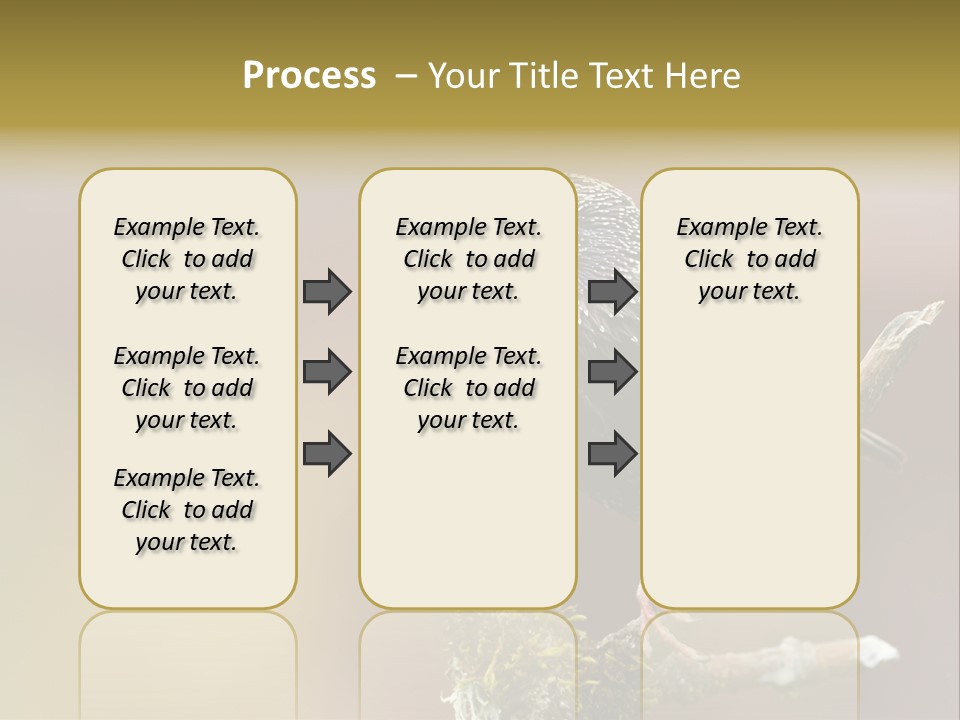 Ornithology Common Starling Cute PowerPoint Template