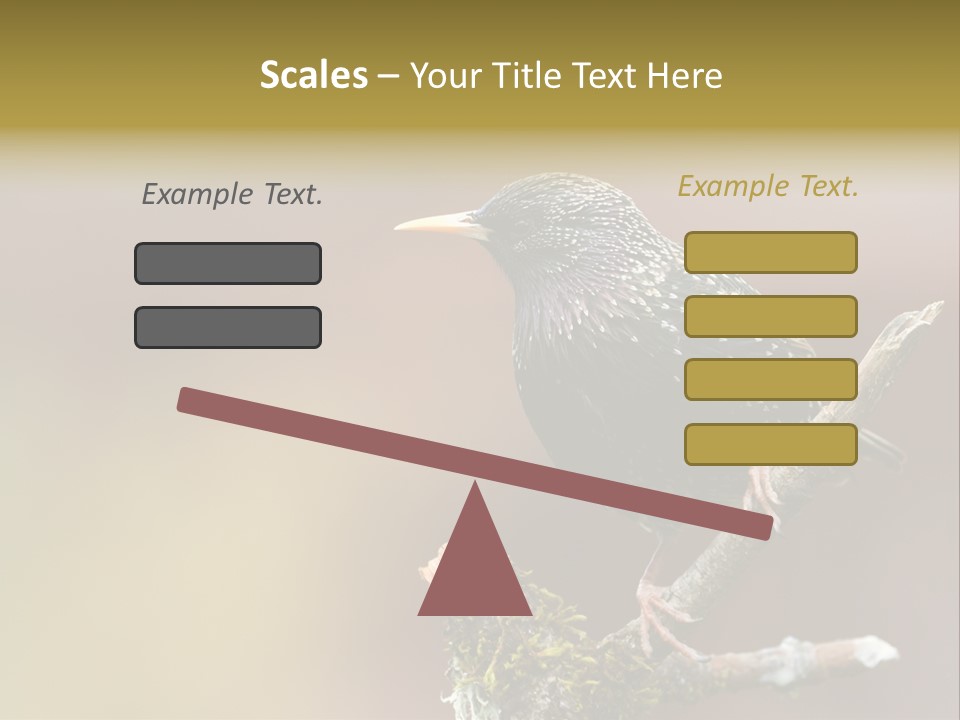 Ornithology Common Starling Cute PowerPoint Template
