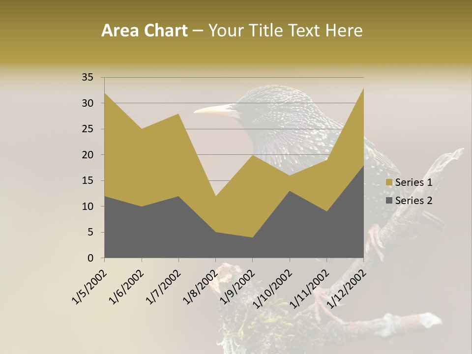 Ornithology Common Starling Cute PowerPoint Template